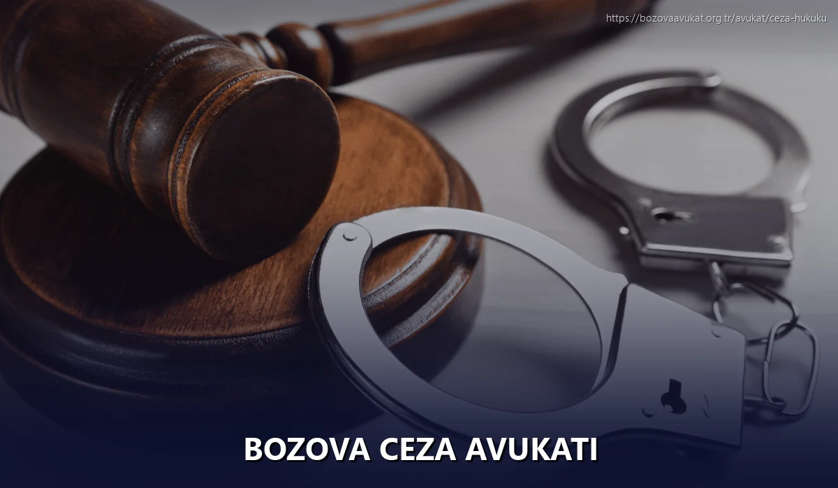 Bozova Ceza Avukatı